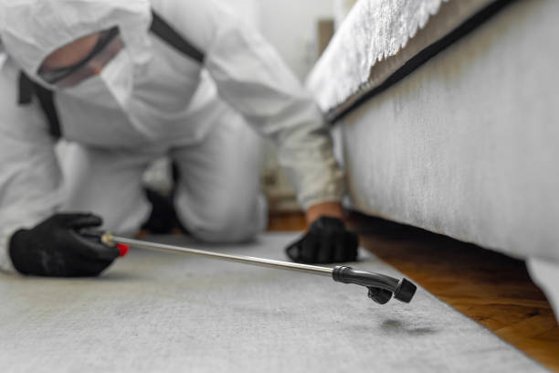 Professional Bed Bug Control technician working in South Haven, IN